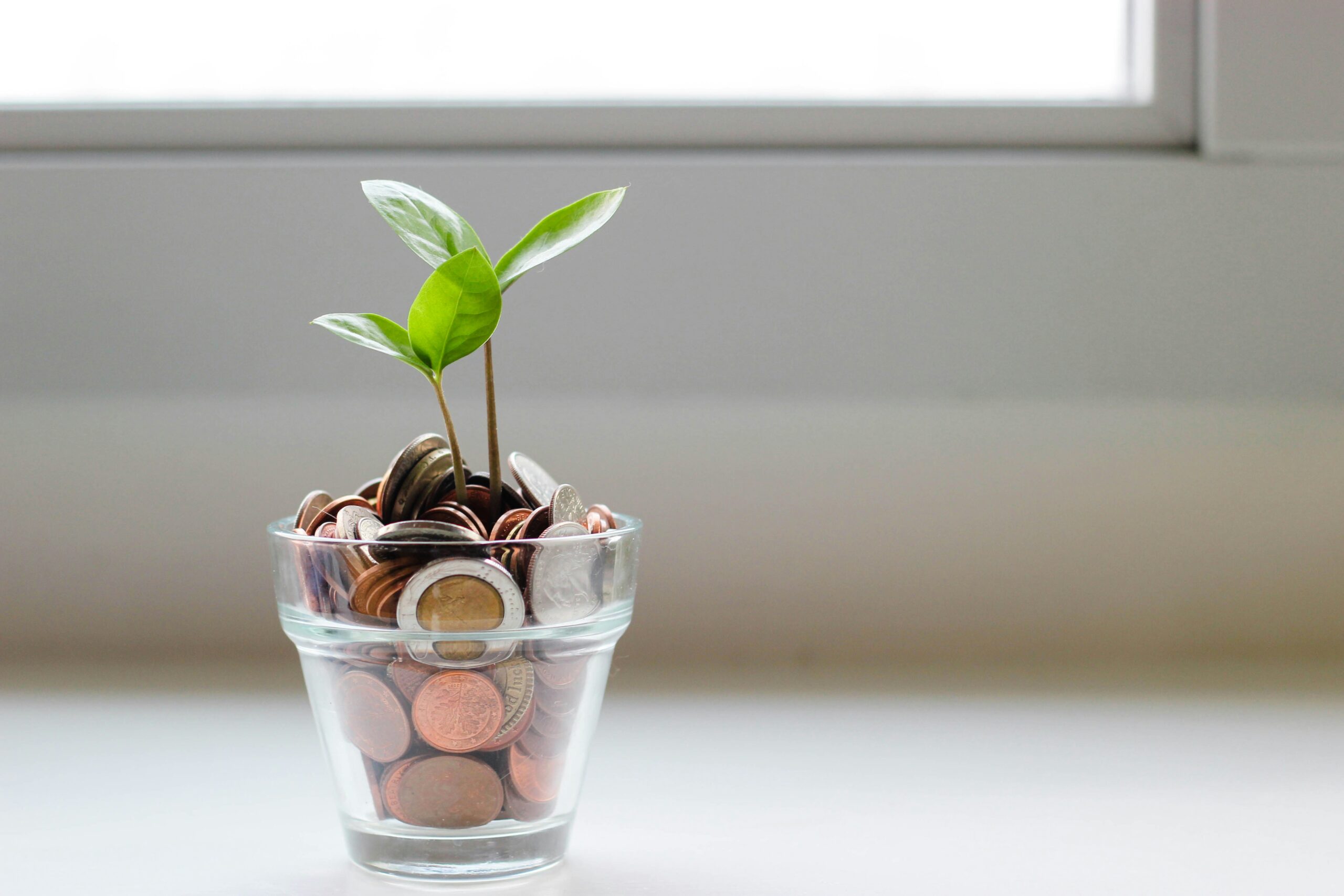 Glass with money and plant coming out to signify minimalist lifestyle money-saving tips